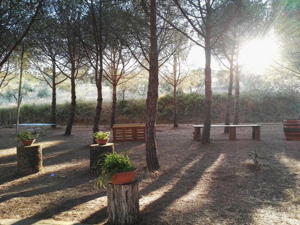 Dolce Vita Campiglia Marittima Eksteriør billede
